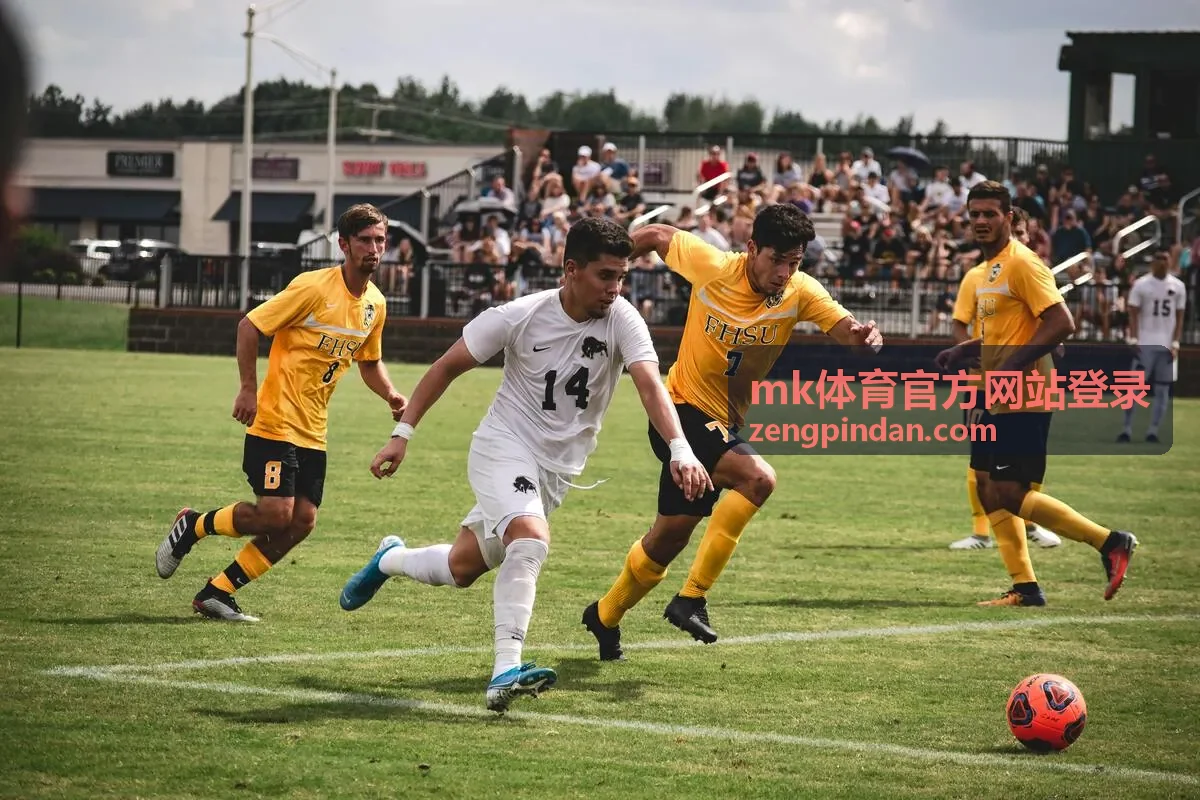 mk体育官方网站登录 账号安全与验证频道页头背景