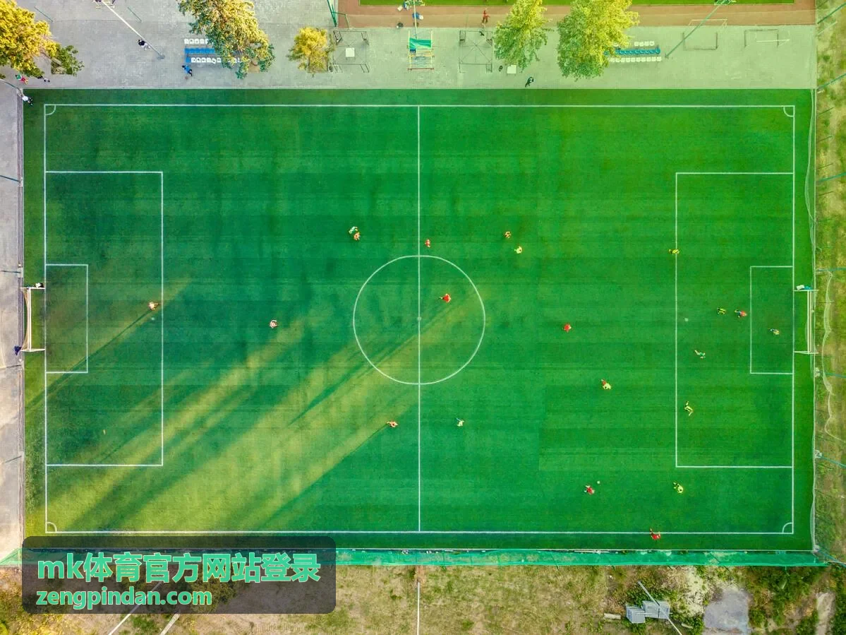 mk体育官方网站登录 项目看点卡片封面