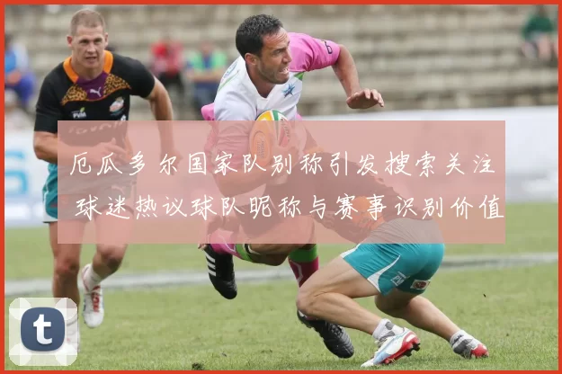 厄瓜多尔国家队别称引发搜索关注 球迷热议球队昵称与赛事识别价值