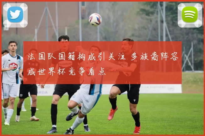 法国队国籍构成引关注 多族裔阵容成世界杯竞争看点