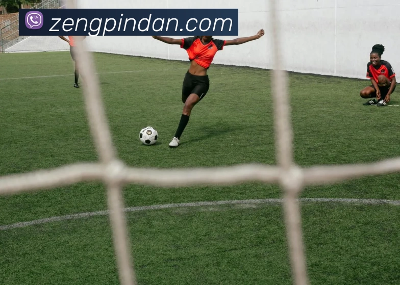 pg国际下载官方网站/手机网页版服务体系